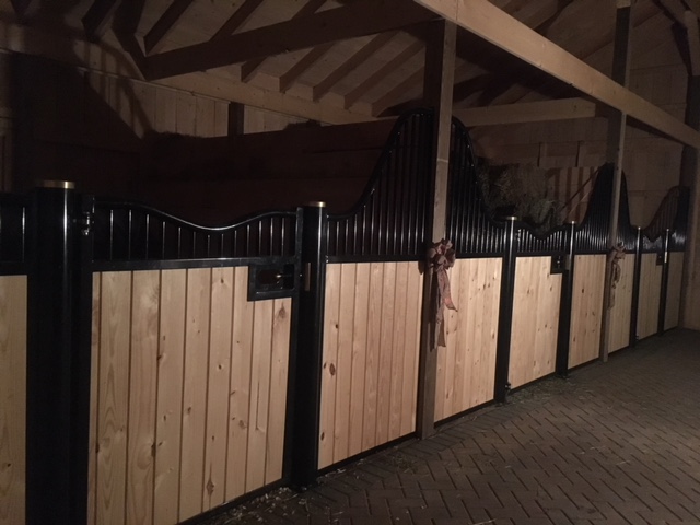 European-stalls-one-row-barn-